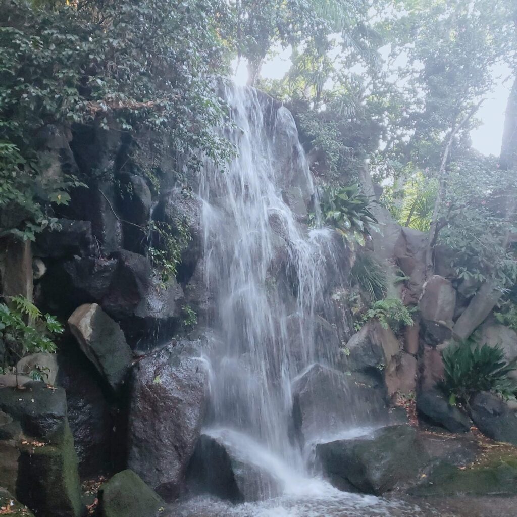 名主の滝公園の男滝