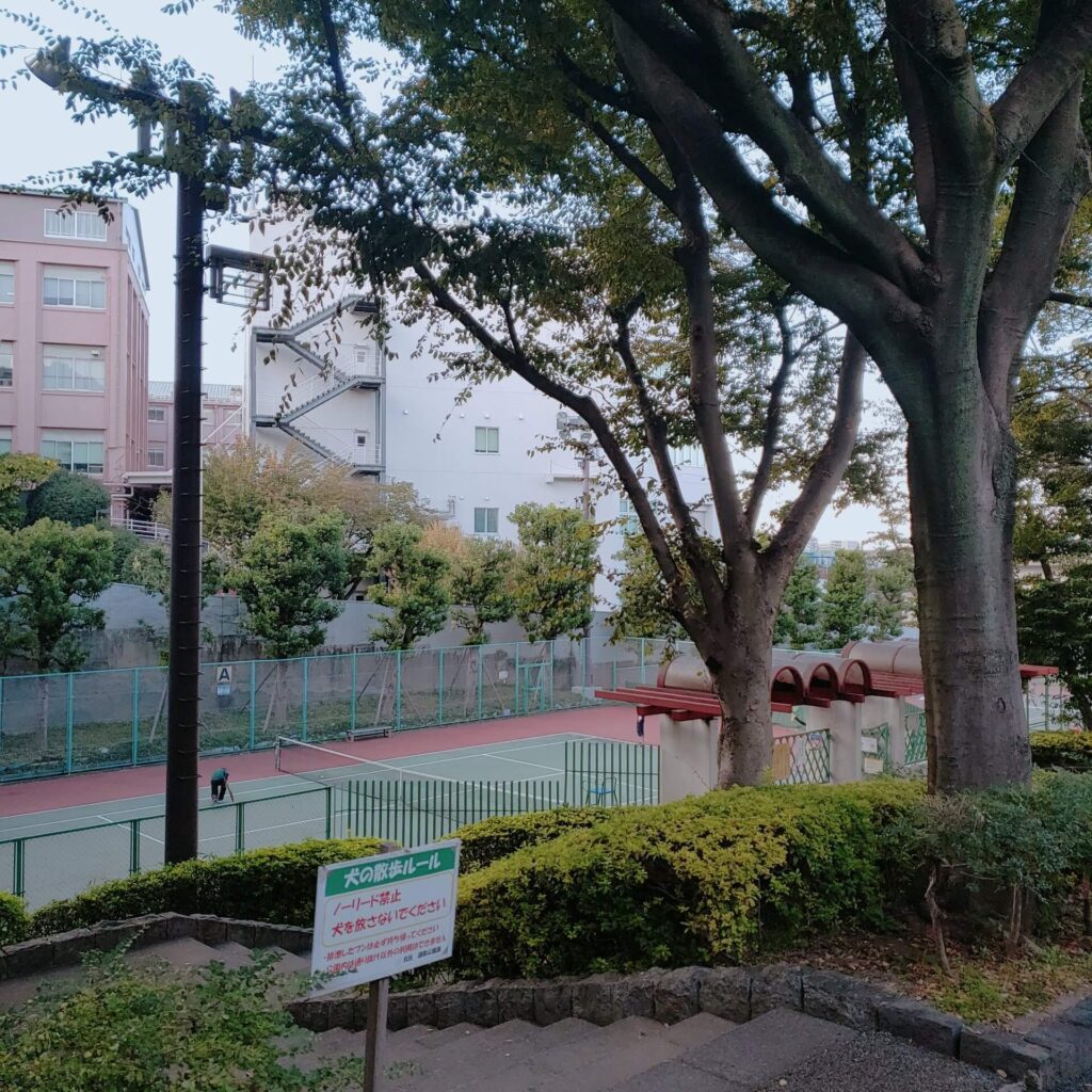 滝野川公園のテニスコート