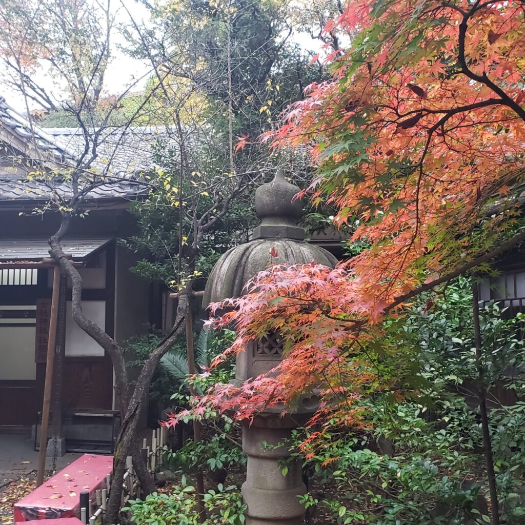 七社神社の紅葉