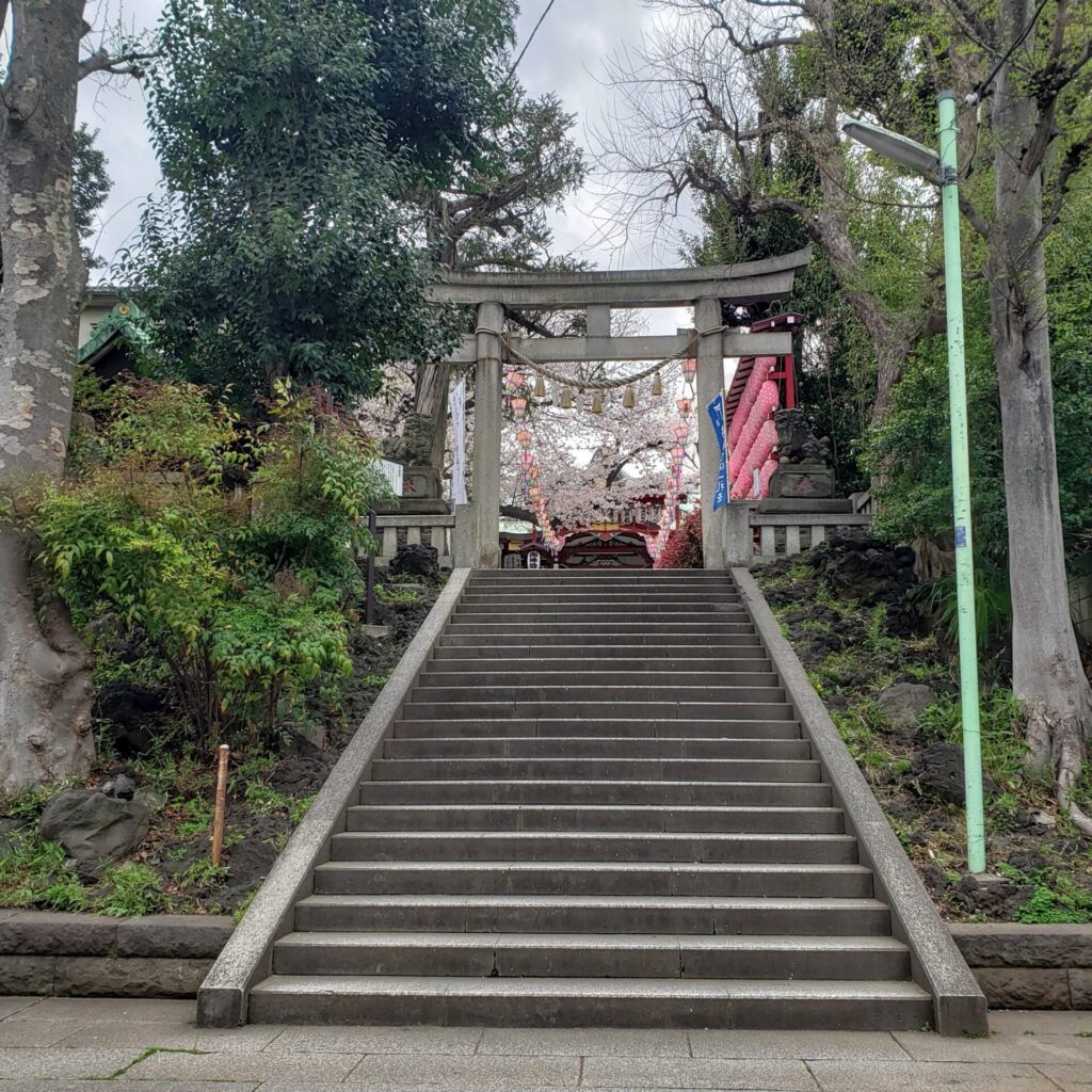 居木神社の鳥居と階段