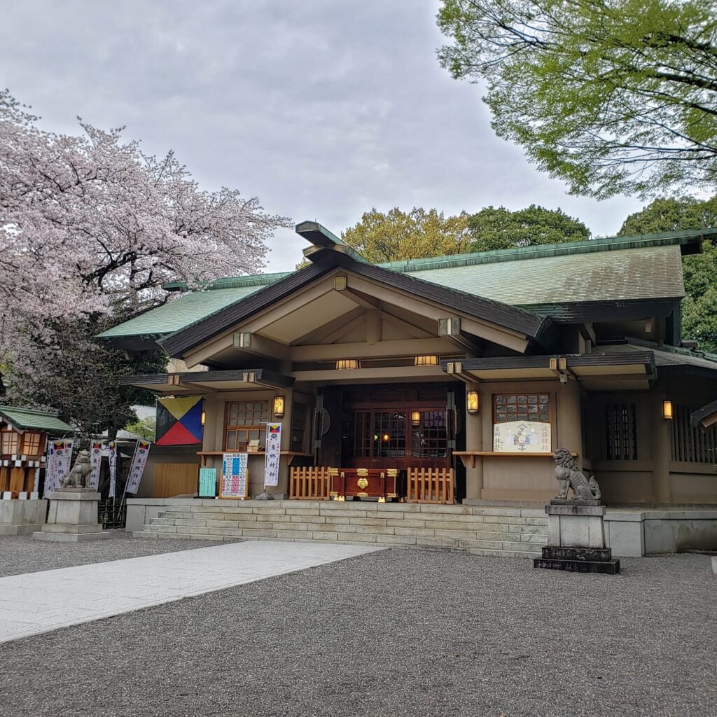 東郷神社の社殿と桜