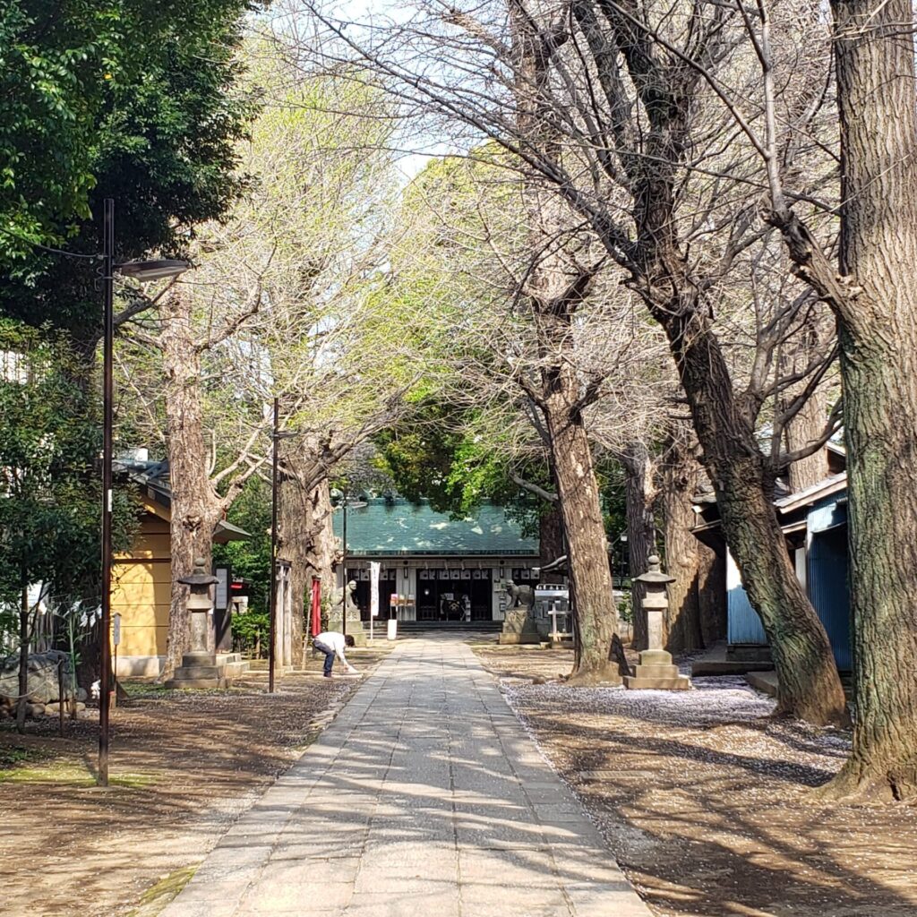 駒込天祖神社の参道