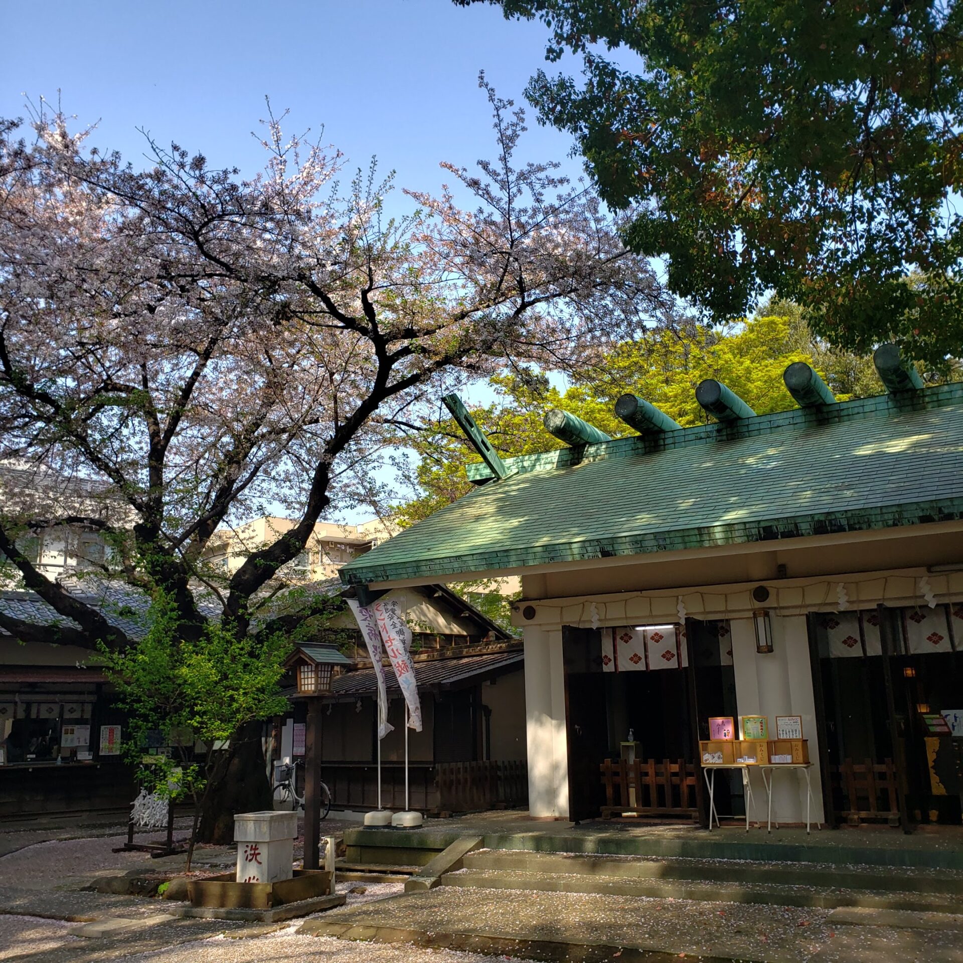 駒込天祖神社の写真