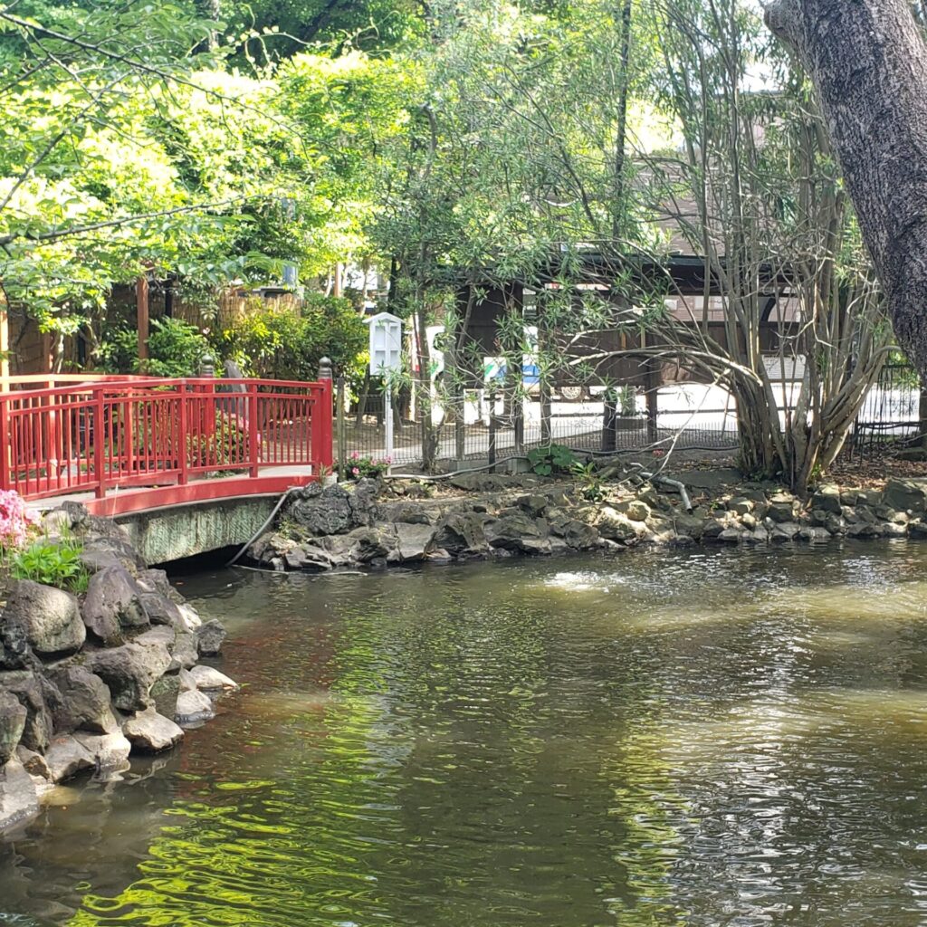 富岡八幡宮の弁天池