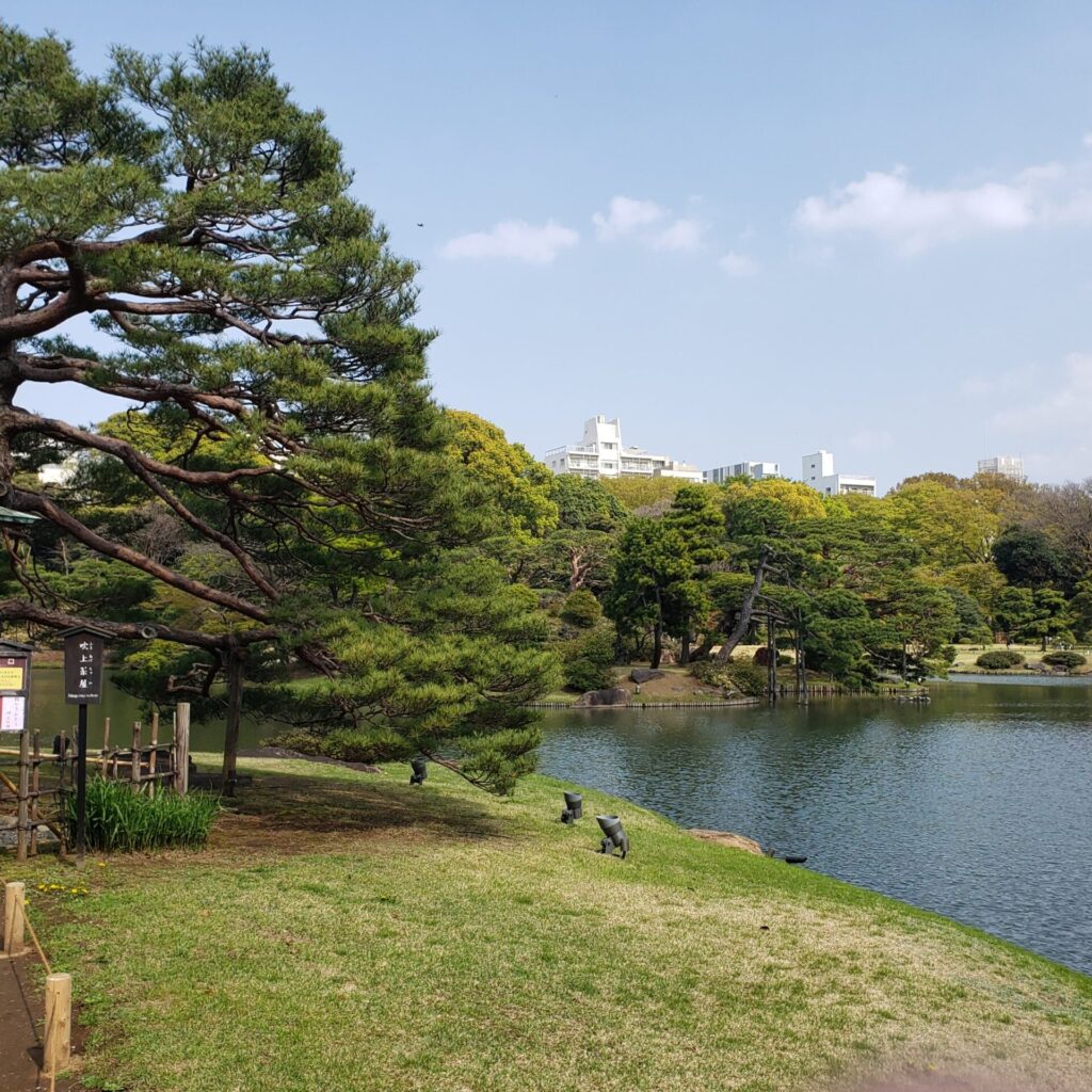 六義園の景色