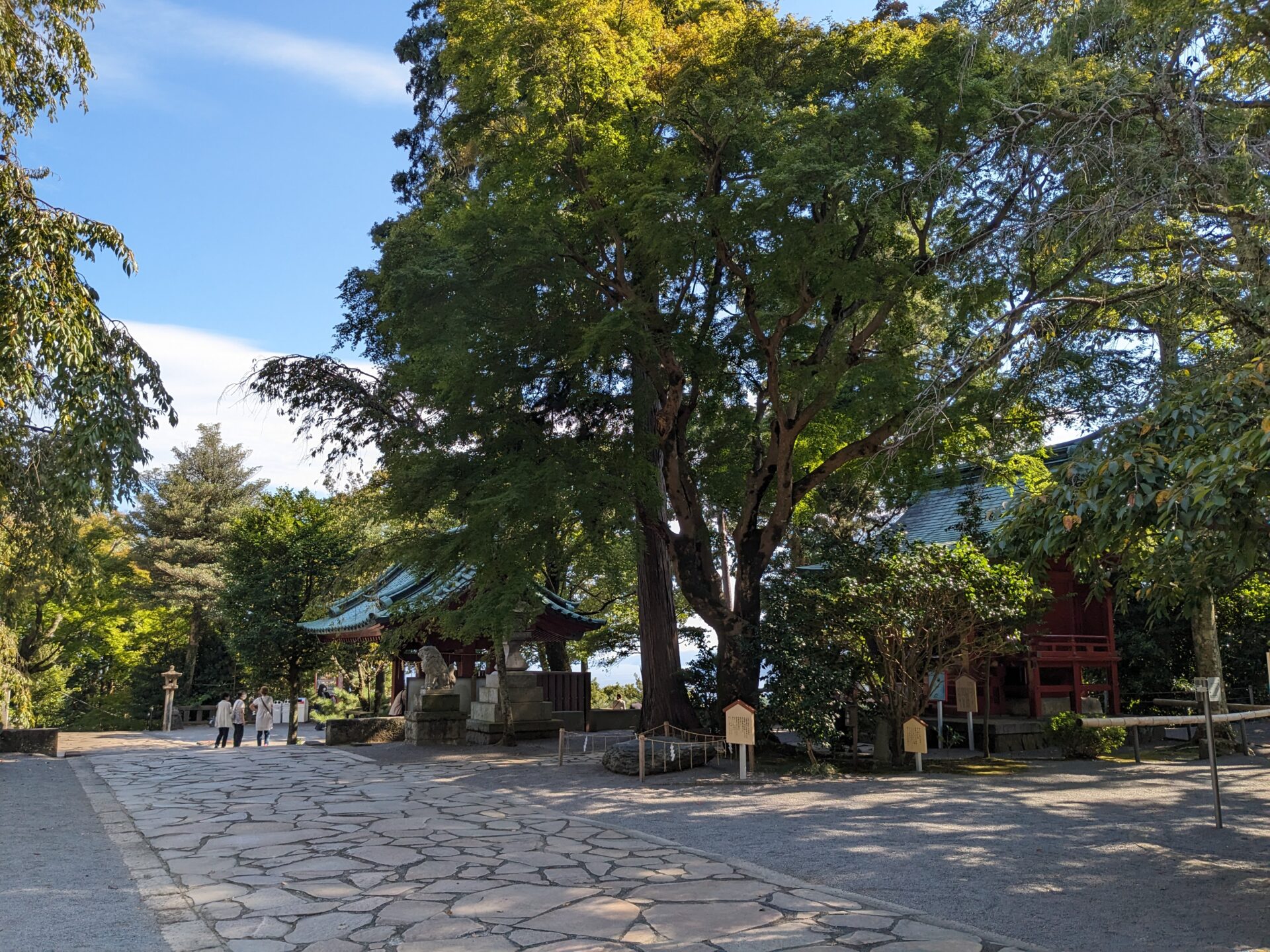 伊豆山神社の境内