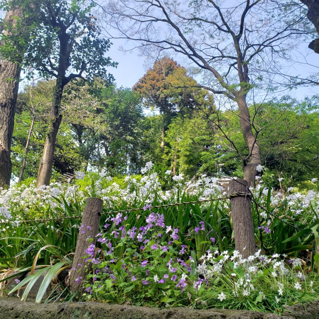 駒込富士神社の景色