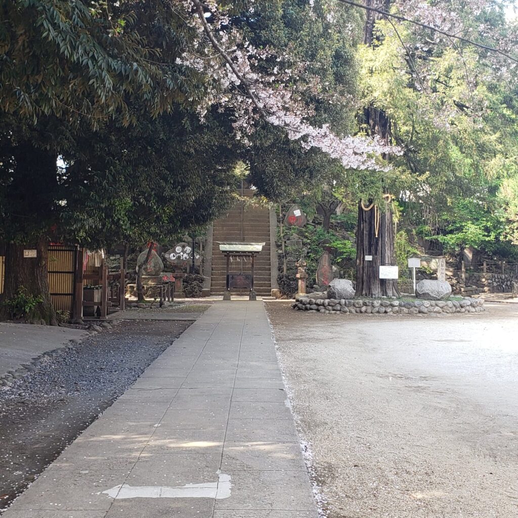 駒込富士神社の景色