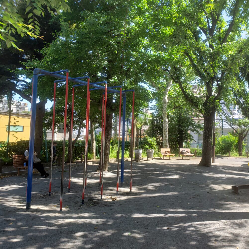 公園内の自然