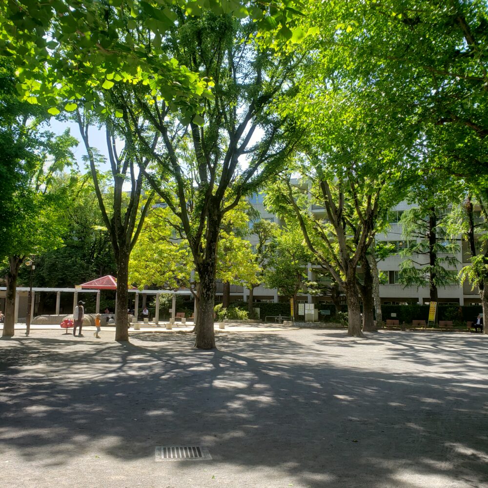 白銀公園の園内