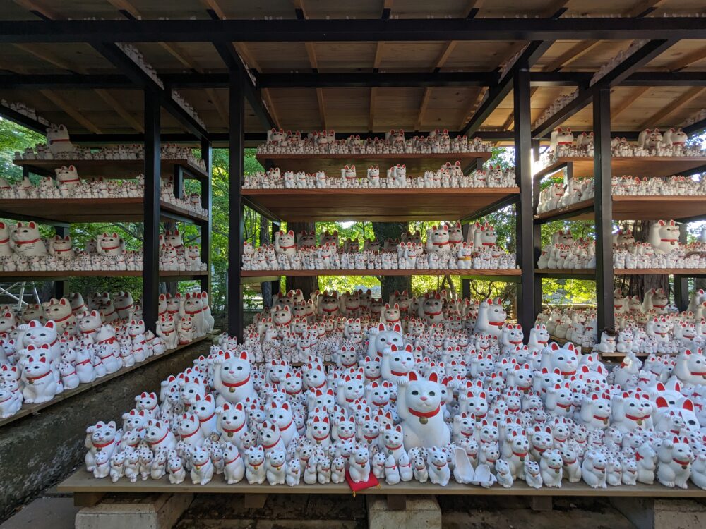 豪徳寺の招き猫